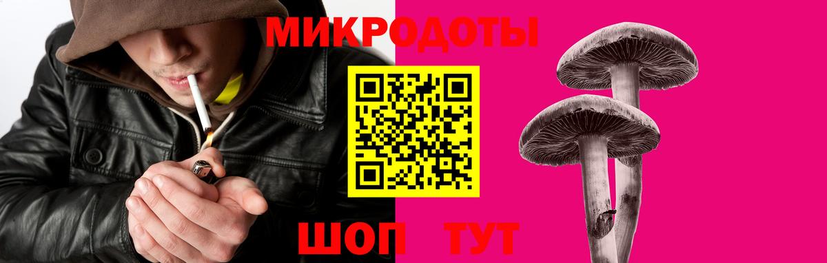 Псилоцибиновые грибы прущие грибы  Вход с VPN  Волхов  Галлюциногенные грибы GOLDEN TEACHER 