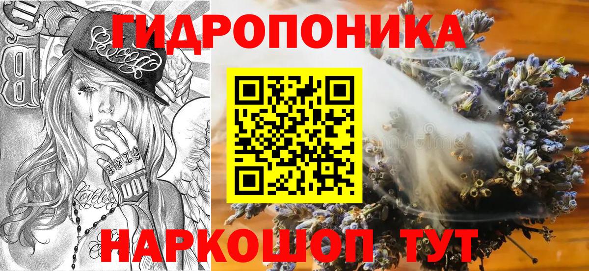 Конопля OG Kush Волхов